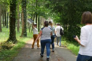 activite-RSE