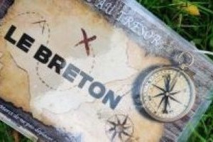 activité-entreprise-rennes